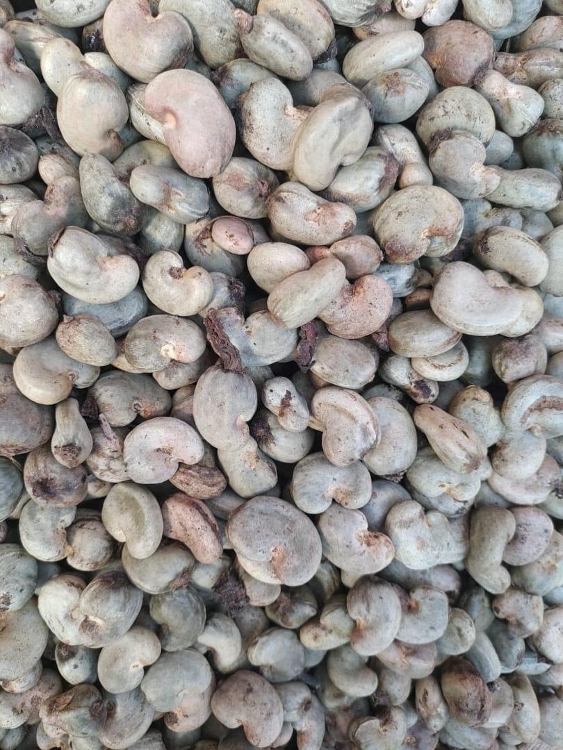 Raw Cashew Nuts